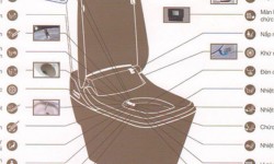 bồn cầu thông minh - Đại lý TOTO tại Hưng Yên